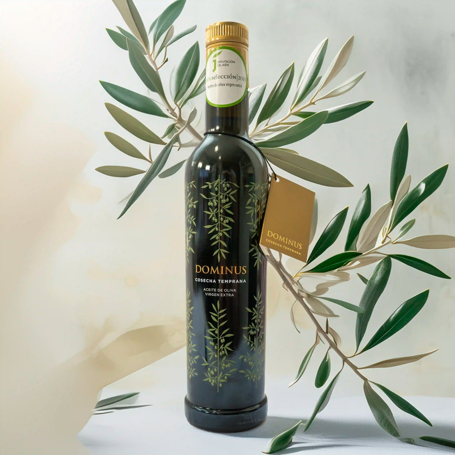 Aceite de Oliva Virgen Extra Premium Dominus Cosecha Temprana con fondo de motivos olivareros