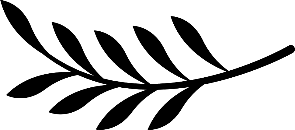 Icono Molino y Cata
