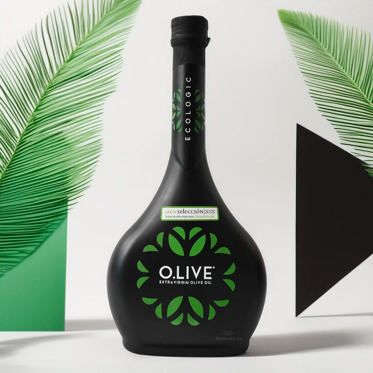 O.LIVE Ecológic 500ml con fondo geométrico