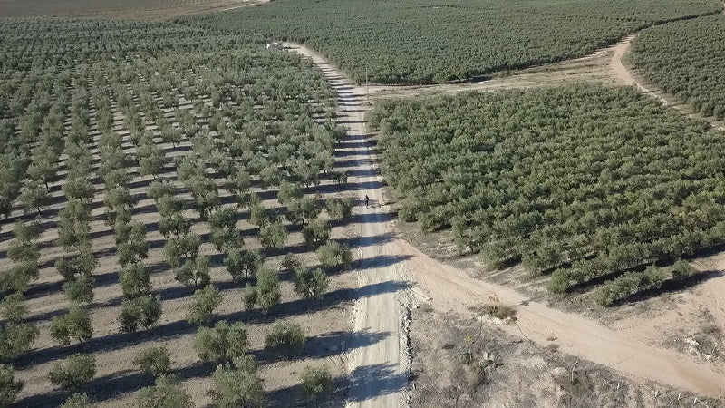 Imagen de la finca de Pago de Peñarrubia