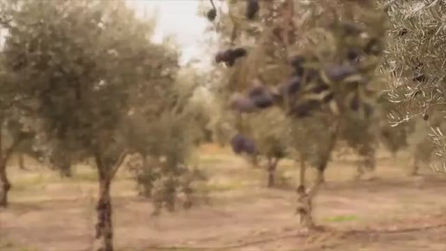 Video promocional de Pago de Peñarrubia