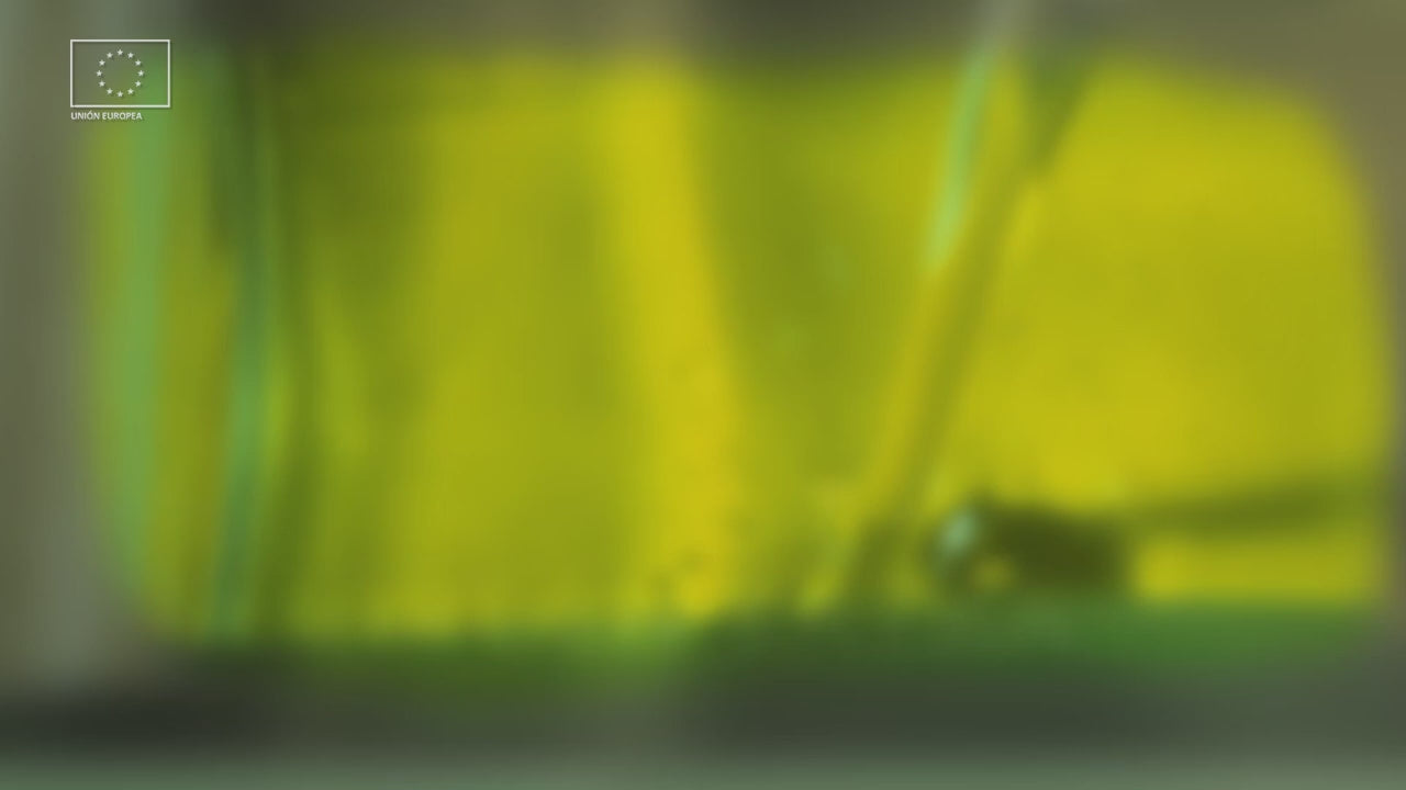 Video promocional de la Denominación de origen protegida de aceites de oliva virgen extra de Priego de Córdoba