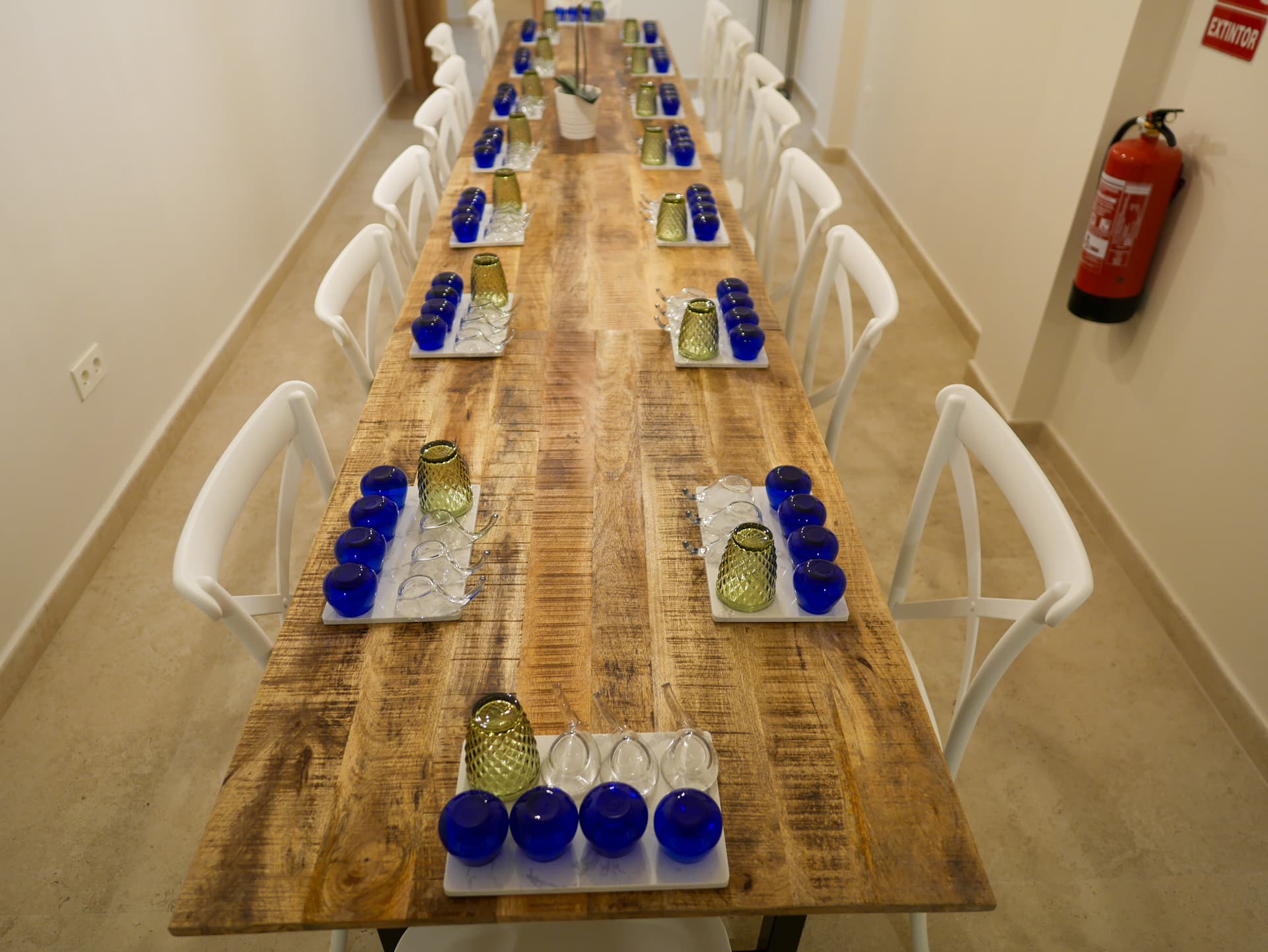 Sala de cata profesional de Molino & Cata preparada con vasos azules COI para análisis sensorial