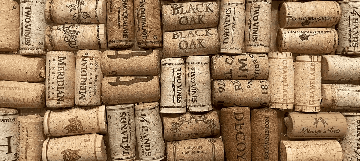 Cómo elegir un AOVE premium: los criterios que realmente importan