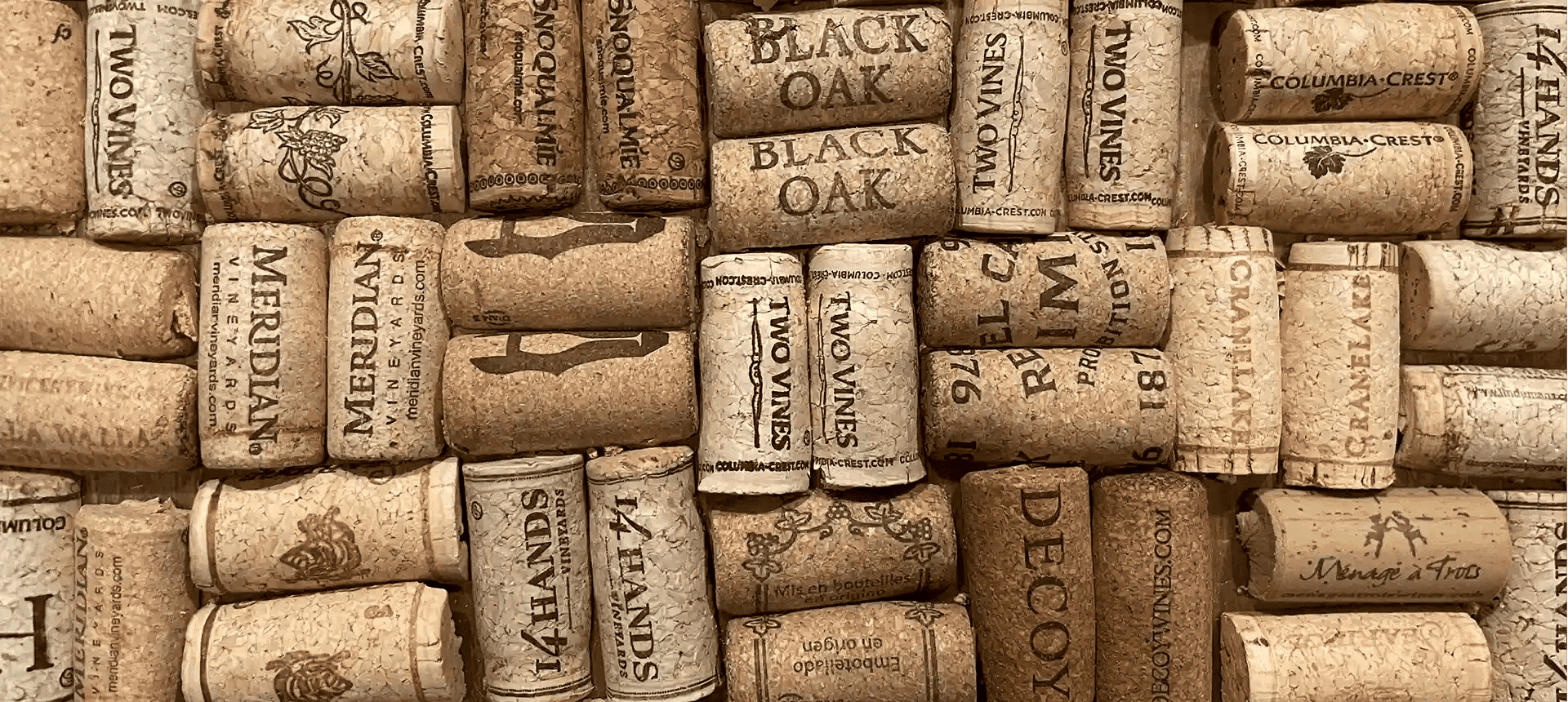 Cómo elegir un AOVE premium: los criterios que realmente importan