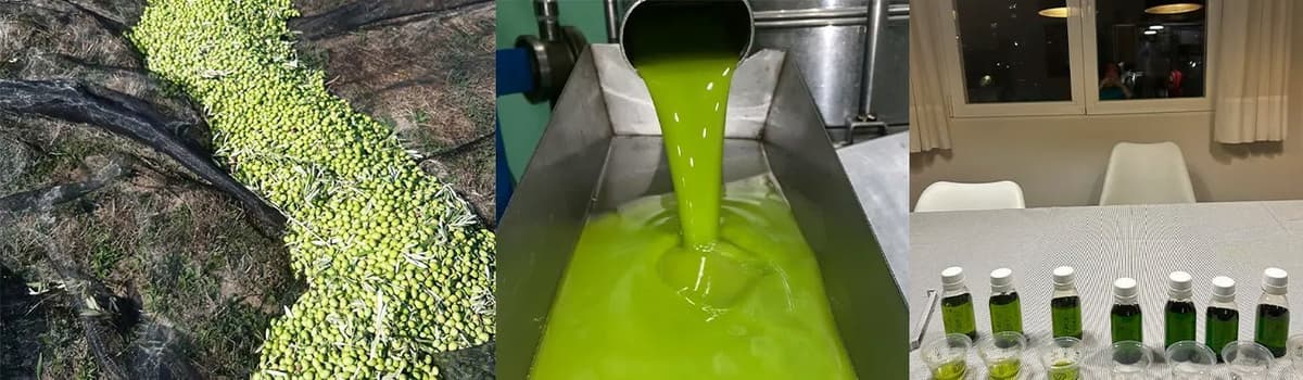 ¿Por qué el AOVE Premium es tan caro?