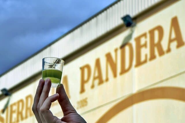 ¿Por qué elegir Aceite de Oliva Virgen Extra de cooperativa?