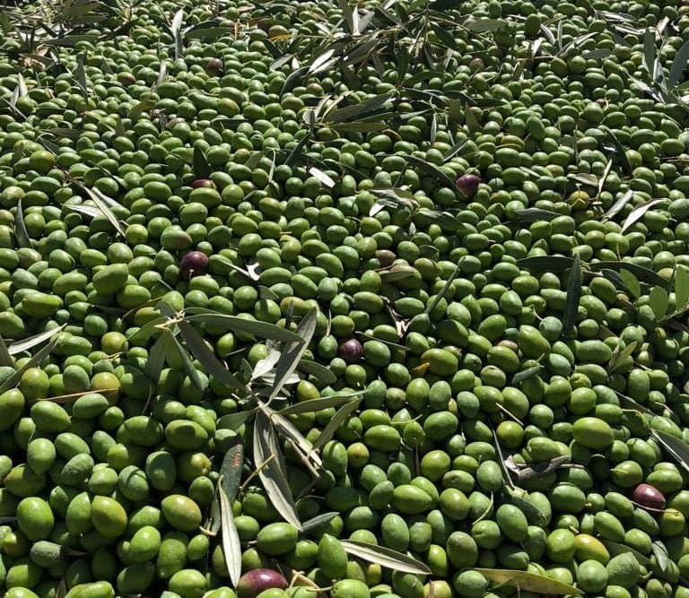 Auf die Plätze, fertig... warten!