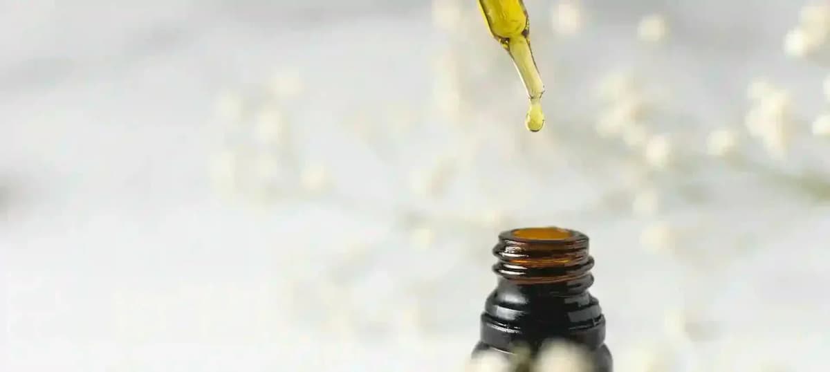 ¿Qué es el Aceite de Oliva Virgen Extra sin filtrar?