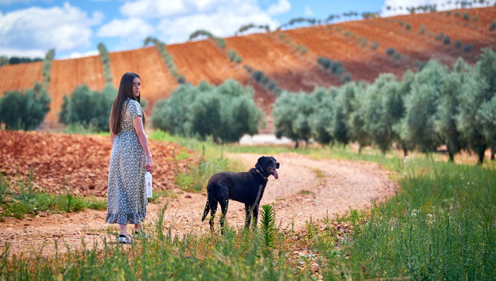 Imagen promocional de Finca la Pontezuela